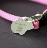 FREE Tabby ID Tag