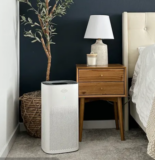 Clorox Large Room True HEPA Air Purifier Giveaway