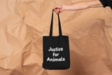 FREE TOTE BAG!